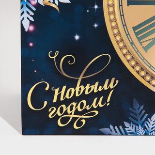 Пакет ламинированный вертикальный «Куранты», MS 18 x 23 x 10 см 4