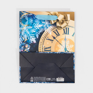 Пакет ламинированный вертикальный «Куранты», MS 18 x 23 x 10 см 7