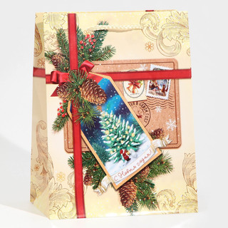 Пакет ламинированный вертикальный «С Новым годом!», MS 18 x 2...