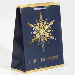 Пакет ламинированный вертикальный «Снежинка», MS 18 x 23 x 8 см 2