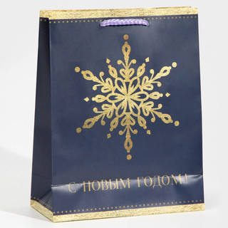 Пакет ламинированный вертикальный «Снежинка», MS 18 x 23 x 8 см 3