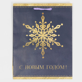 Пакет ламинированный вертикальный «Снежинка», MS 18 x 23 x 8 см 6