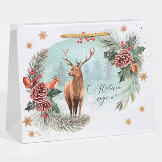 Пакет ламинированный горизонтальный «На лесной опушке», MS 23...