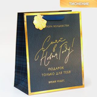 Пакет ламинированный вертикальный «Сияй в Новом Году»,  25,4 ...