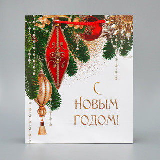 Пакет ламинированный вертикальный «Праздник», ML 21 x 25 x 8 см 4