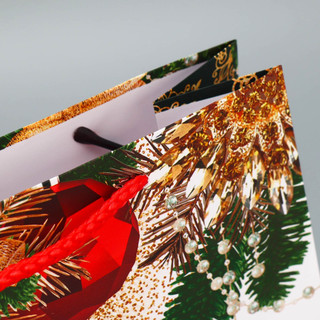 Пакет ламинированный вертикальный «Праздник», ML 21 x 25 x 8 см 6