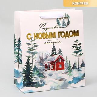 Пакет ламинированный вертикальный, конгревное тиснение «С Нов...