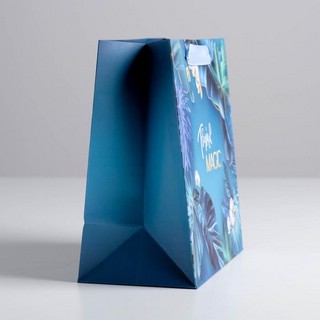 Пакет ламинированный квадратный «Magic», 22 x 22 x 11 см 2