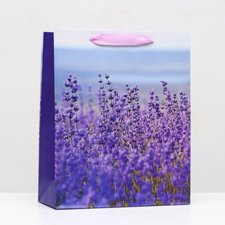 Пакет ламинированный «Полевые цветы» 26 x 32 x 12 см