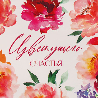 Пакет ламинированный с тишью «Счастье», 23 x 18 x 10 см 6