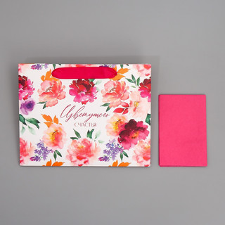 Пакет ламинированный с тишью «Счастье», 23 x 18 x 10 см 8