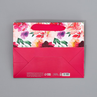 Пакет ламинированный с тишью «Счастье», 23 x 18 x 10 см 9