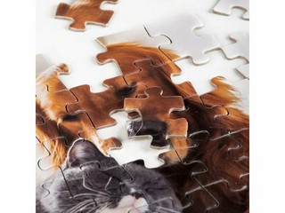 Пазл Зверята, 54 элемента, Dream Makers 3