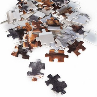 Пазл Зверята, 54 элемента, Dream Makers 4