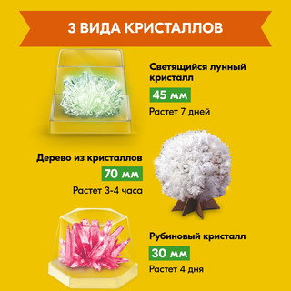 Набор 4M Сокровища земли, артикул 00-05538 5