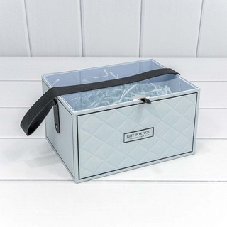 Коробка Голубая, с прозрачной крышкой и ручкой, 21.5х16х12 см