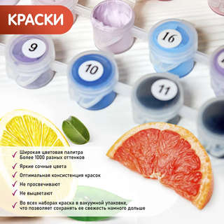 Картина по номерам 'Сопровождение' 30х30 см, 20 цветов 4