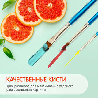 Картина по номерам 'Сопровождение' 30х30 см, 20 цветов 5