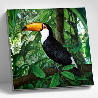 Картина по номерам 'Тукан в джунглях', 30x30 см, Molly