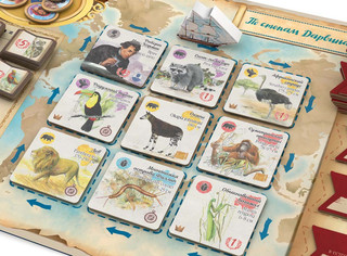 Настольная игра По стопам Дарвина, Стиль Жизни 4