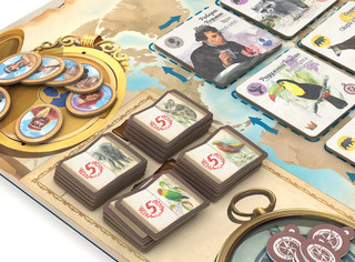 Настольная игра По стопам Дарвина, Стиль Жизни 5