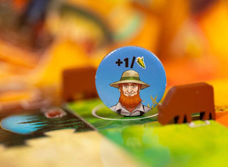 Настольная игра Лоскутное ранчо, Стиль Жизни 13