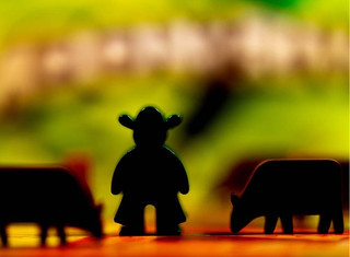 Настольная игра Лоскутное ранчо, Стиль Жизни 15