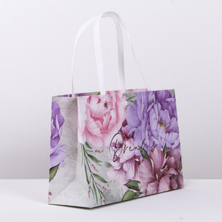 Пакет подарочный 'Dreams', 30 x 20 x 10 см 2