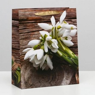 Пакет ламинированный 'Первоцветы', 26 x 32 x 12 см
