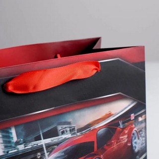 Пакет ламинированный квадратный «Champion», 22 x 22 x 11 см 3