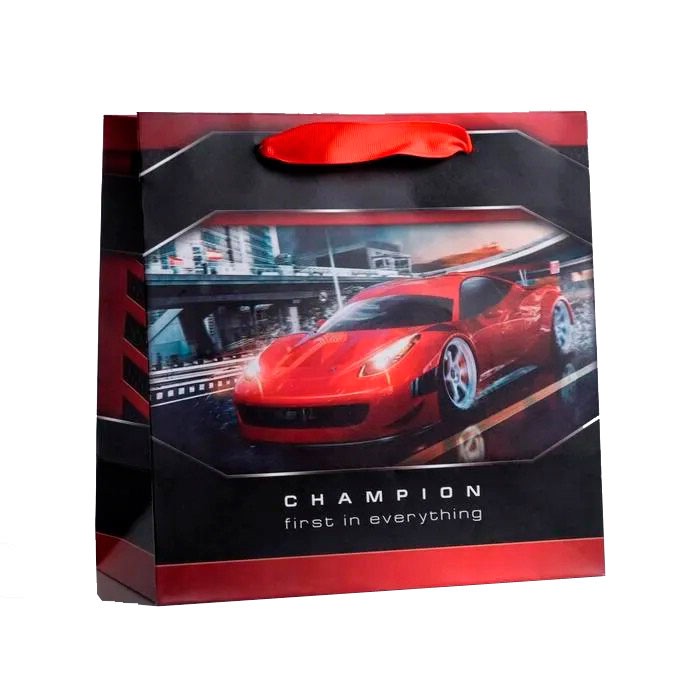 Пакет ламинированный квадратный «Champion», 22 x 22 x 11 см