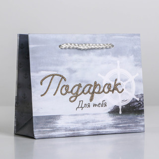 Пакет ламинированный горизонтальный «Present for you», S 15 х...