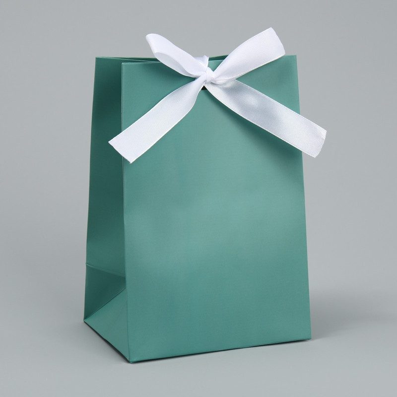 Пакет подарочный с лентой «Тиффани», 13 x 19 x 9 см