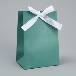 Пакет подарочный с лентой «Тиффани», 13 x 19 x 9 см 1