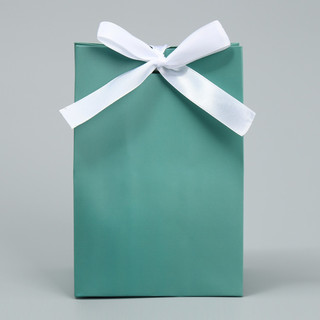 Пакет подарочный с лентой «Тиффани», 13 x 19 x 9 см 2