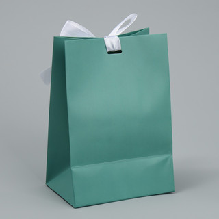 Пакет подарочный с лентой «Тиффани», 13 x 19 x 9 см 4