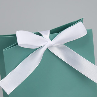 Пакет подарочный с лентой «Тиффани», 13 x 19 x 9 см 5