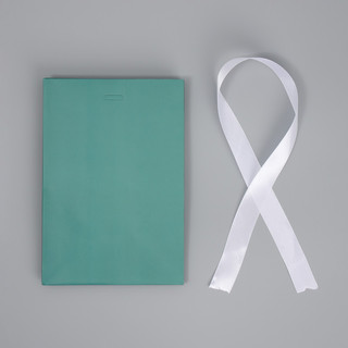 Пакет подарочный с лентой «Тиффани», 13 x 19 x 9 см 6