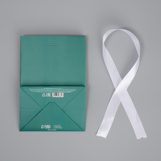 Пакет подарочный с лентой «Тиффани», 13 x 19 x 9 см 7