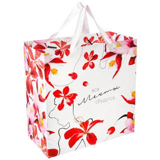 Пакет ламинированный, 22 х 22 х 11 см 'Мечты сбудутся', Принцессы 1