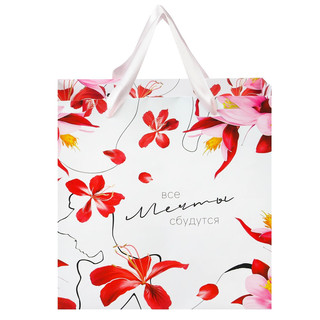 Пакет ламинированный, 22 х 22 х 11 см 'Мечты сбудутся', Принцессы 2