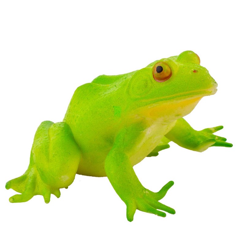 Сквиш Австралийская Лягушка, KiddiePlay