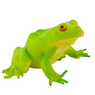 Сквиш Австралийская Лягушка, KiddiePlay