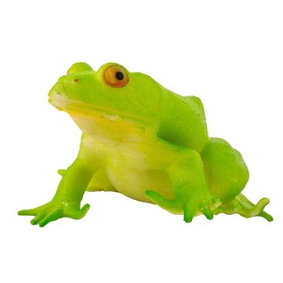 Сквиш Австралийская Лягушка, KiddiePlay 2