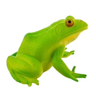 Сквиш Австралийская Лягушка, KiddiePlay 3