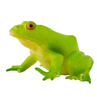 Сквиш Австралийская Лягушка, KiddiePlay 4