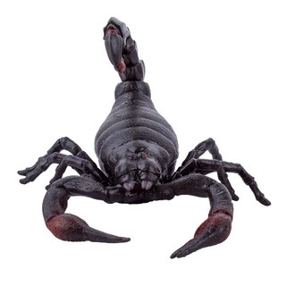 Сквиш Императорский Скорпион, KiddiePlay 4