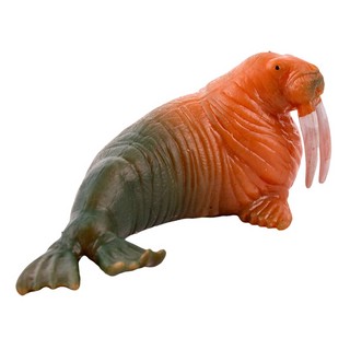 Сквиш Атлантический Морж, KiddiePlay 5