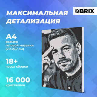 Алмазная фотомозаика QBRIX Original, А4, 5 цветов, 16000 страз 5