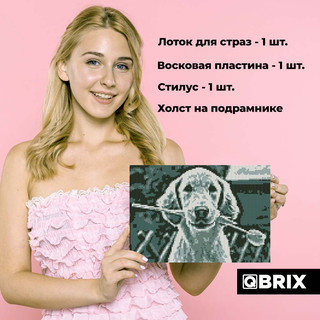 Алмазная фотомозаика QBRIX Original, А4, 5 цветов, 16000 страз 8
